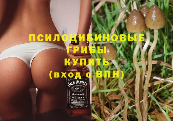 трава Нея
