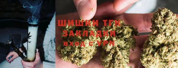 прущие крисы Нефтекумск