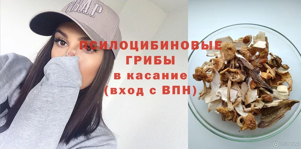 ALPHA-PVP Новозыбков