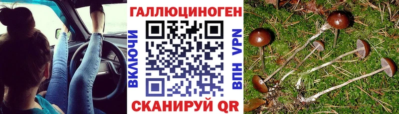 Галлюциногенные грибы Magic Shrooms  Кулебаки 