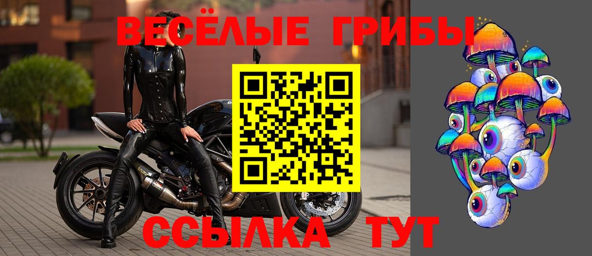 Кулебаки  Псилоцибиновые грибы GOLDEN TEACHER  Вход с VPN 