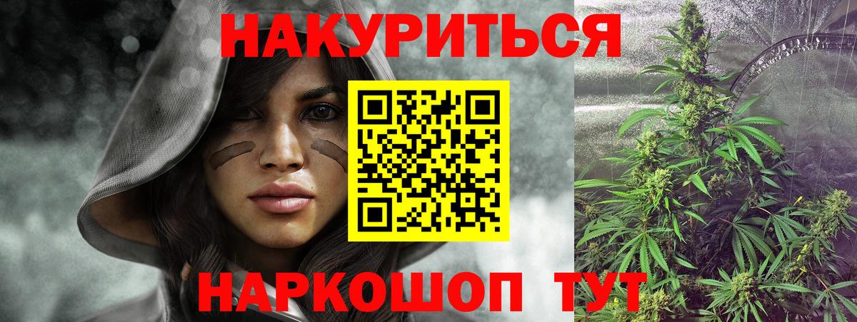 Конопля MAZAR  Марихуана семена  Кулебаки  Канабис Ganja 